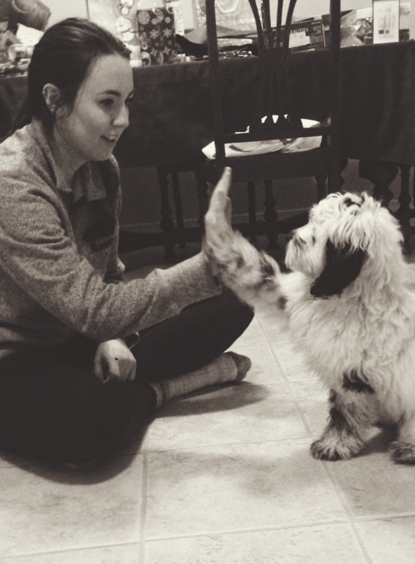 Processed with VSCOcam with x4 preset